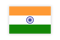 India Flag icon